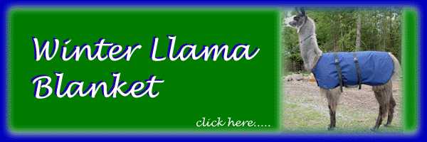 Winter Llama Blanket
